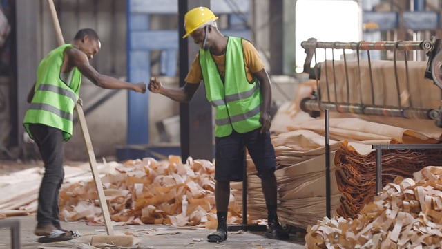 ARISE — The Builder of Eco-systems: people at work in a timber workshop